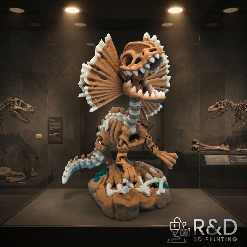 Skeleton Dilophosaurus