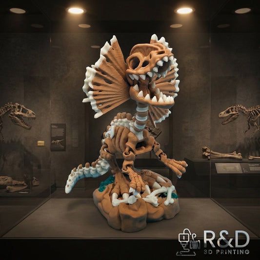 Skeleton Dilophosaurus