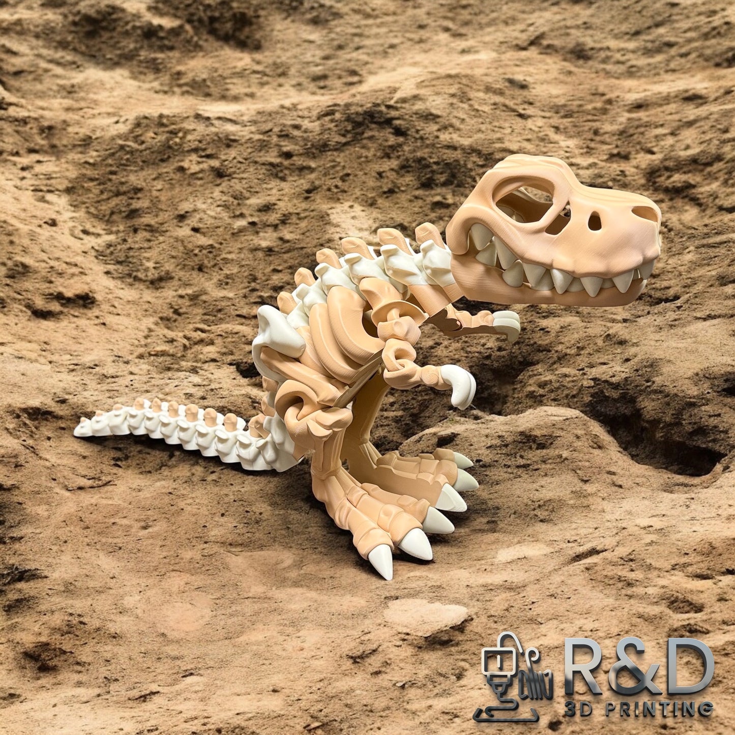 XXL Skeleton T-Rex