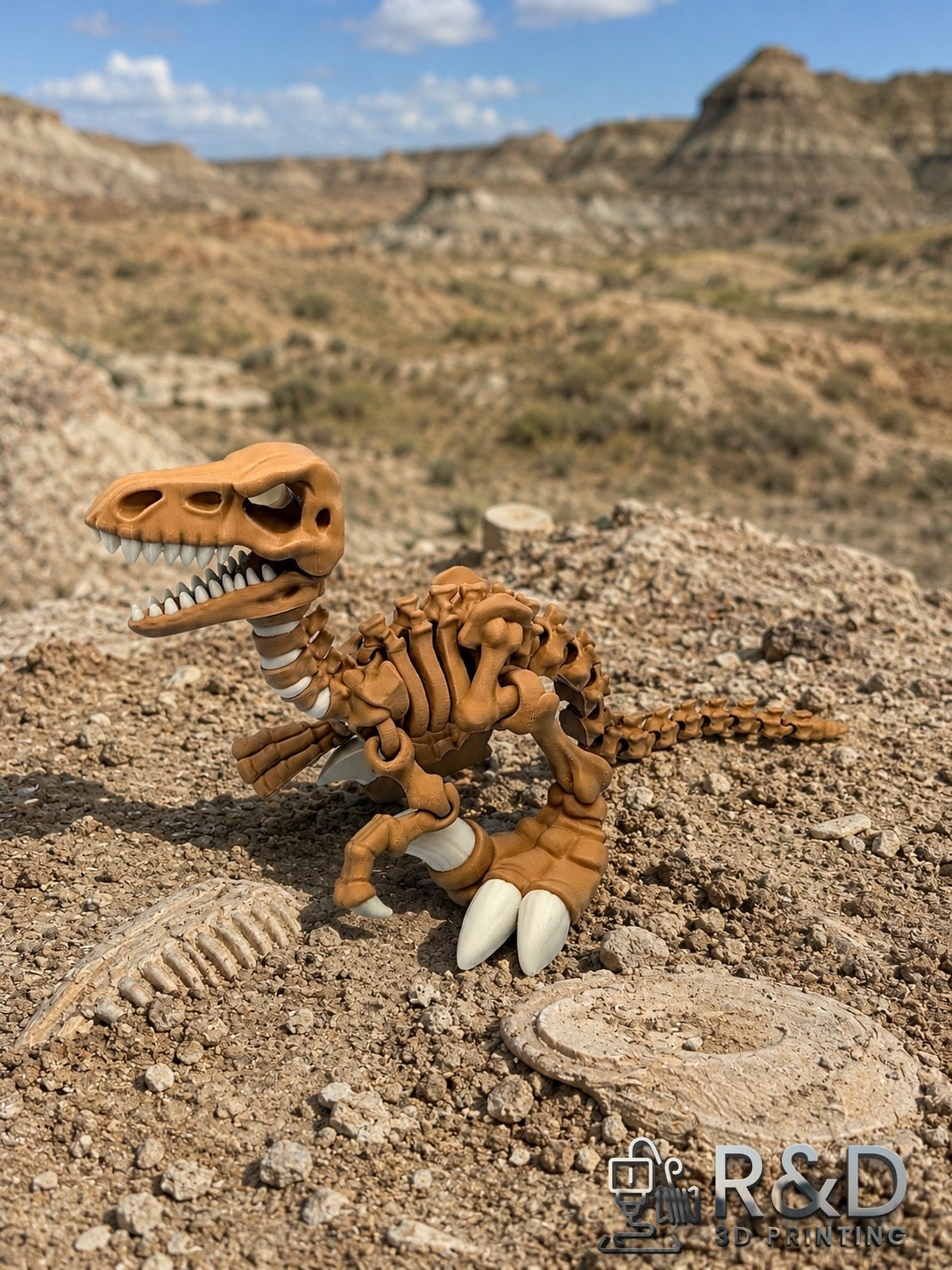 Dino Raptor Skeleton