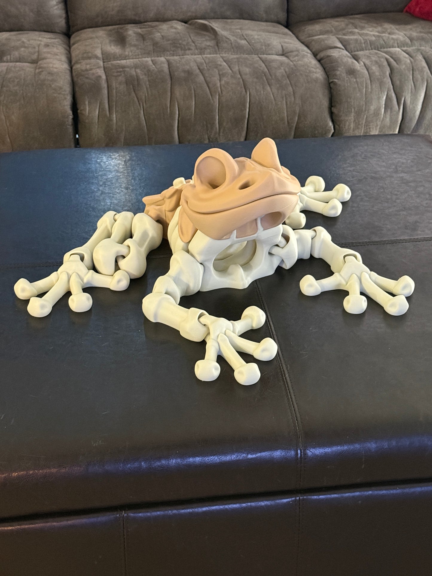 Skeleton Frog