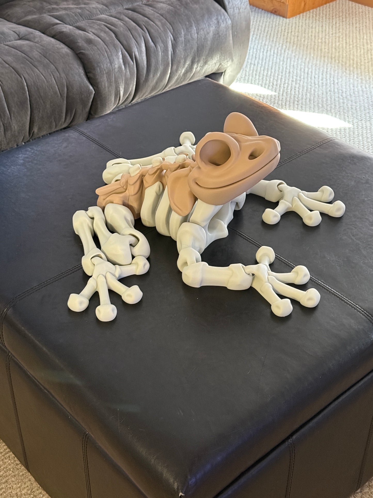 Skeleton Frog