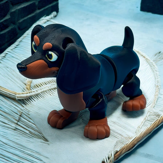 Dachshund