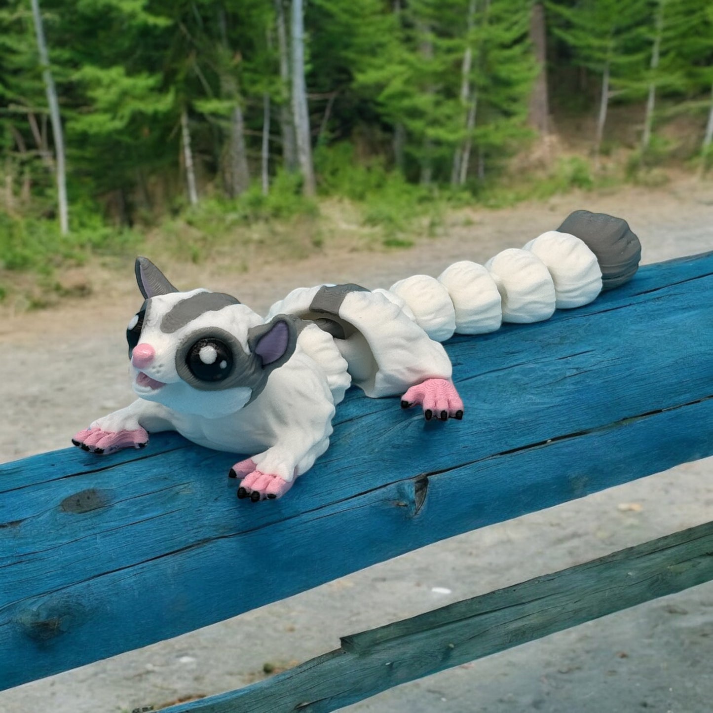 Sugar Glider