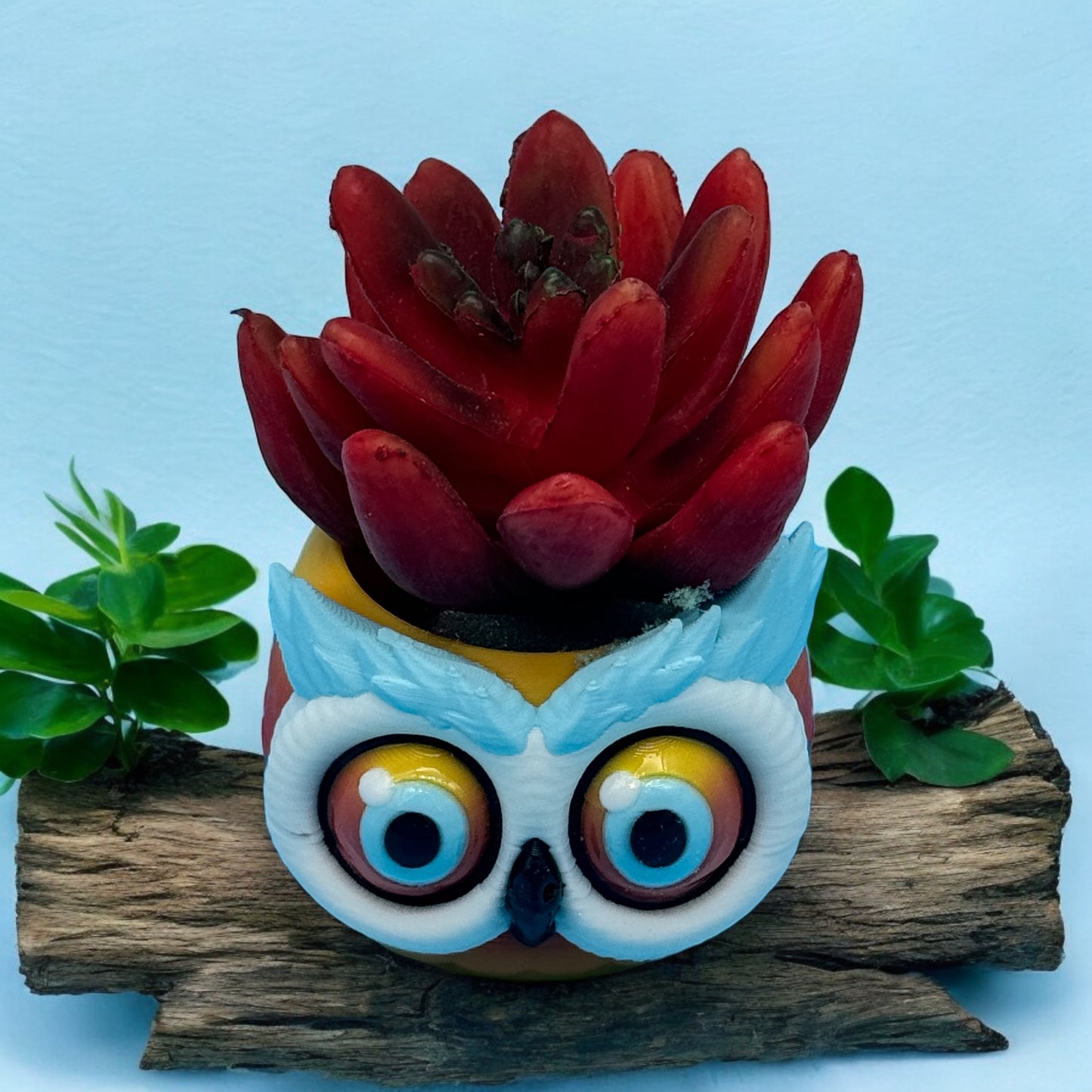 Owl Bowl / Planter