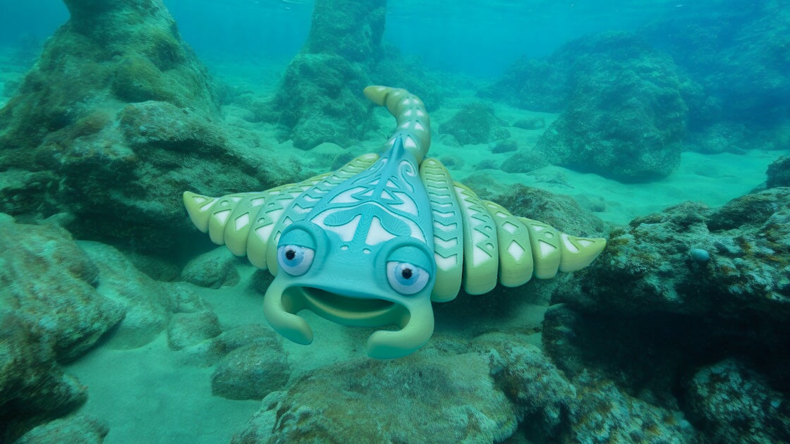 Manta Ray – R&D 3D Printing