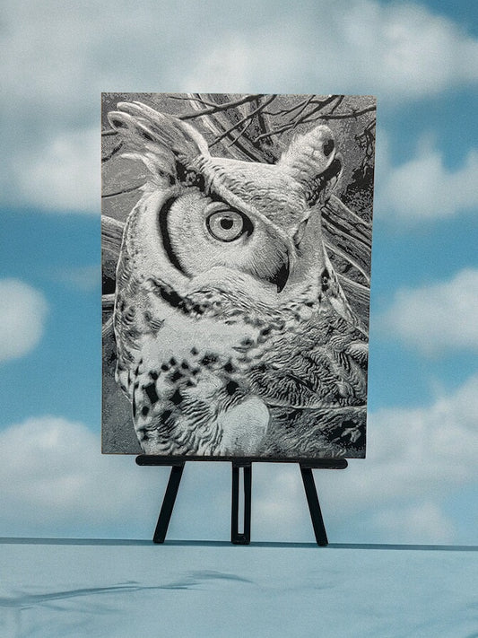 Owl 2 - HueForge