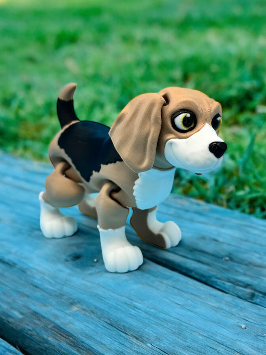 Beagle