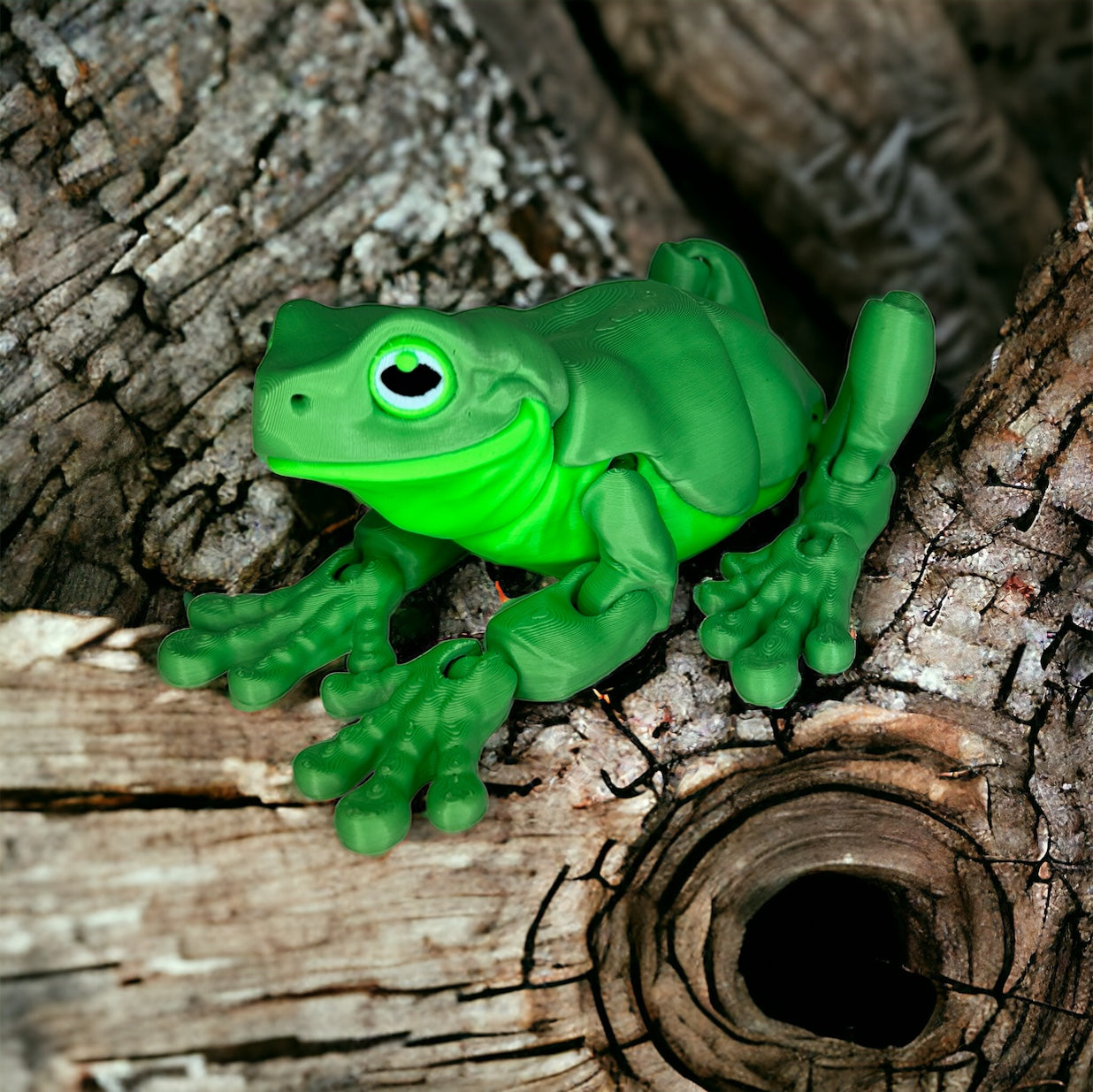 White's Tree Frog Magnet