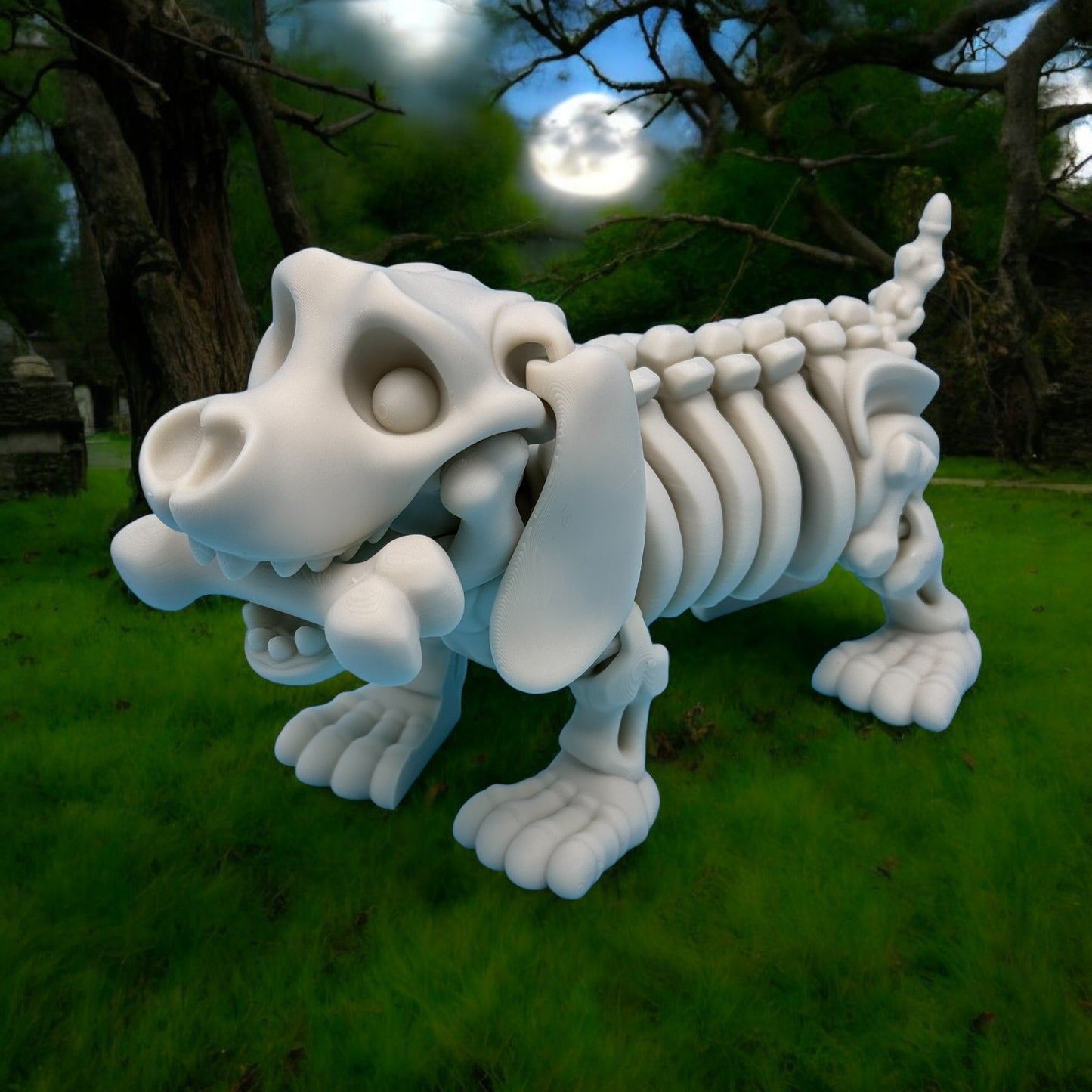 Skeleton Dachshund