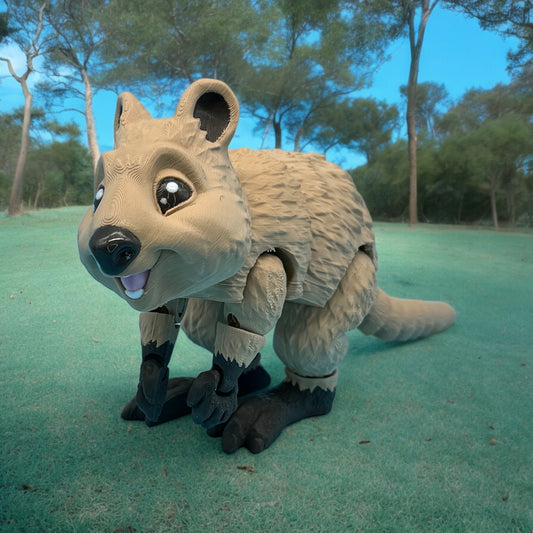 Quokka