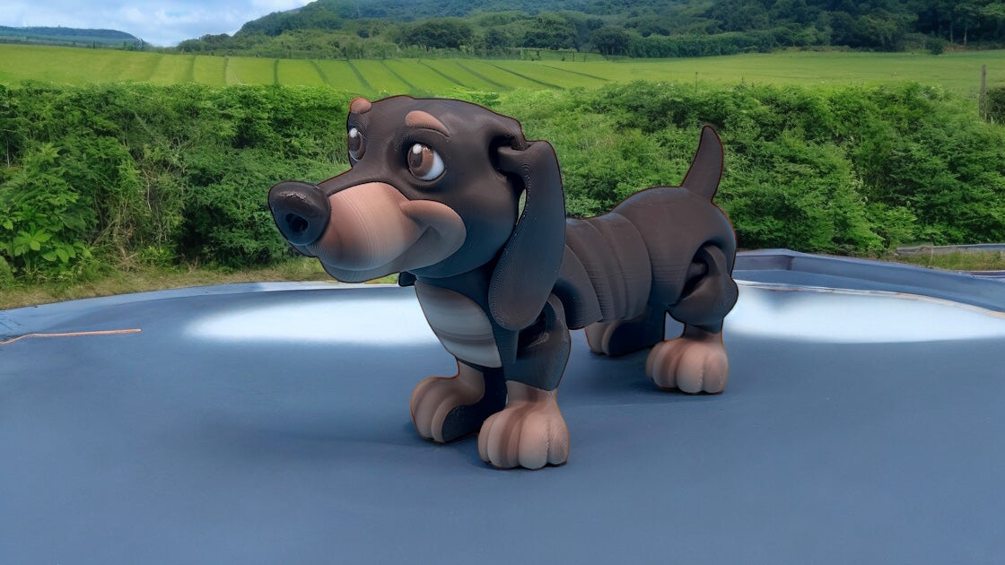 Dachshund