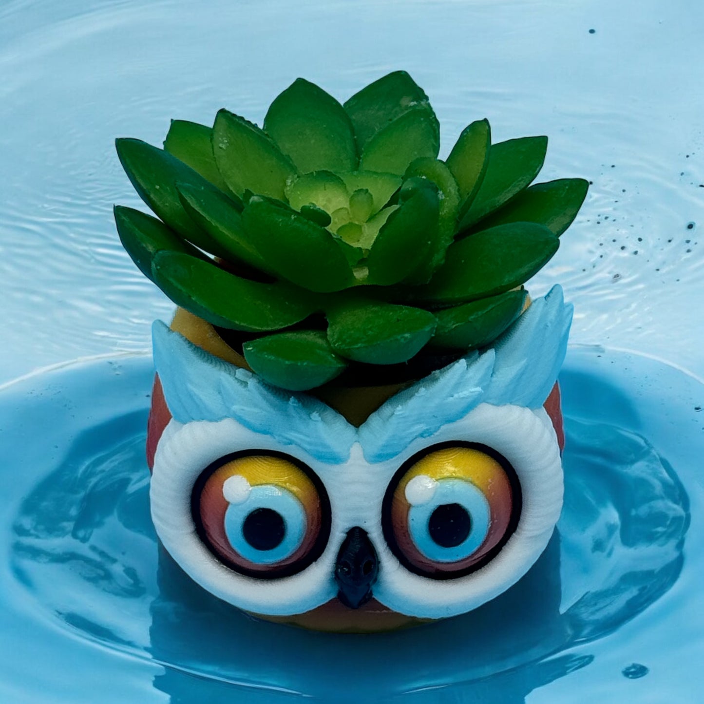 Owl Bowl / Planter