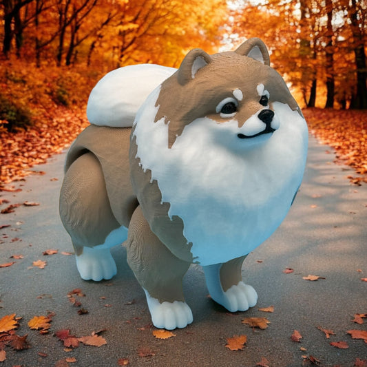 Pomeranian