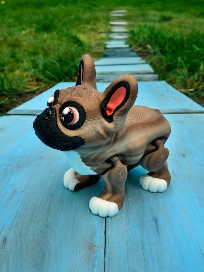 French Bulldog