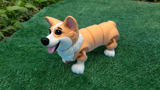 Corgi