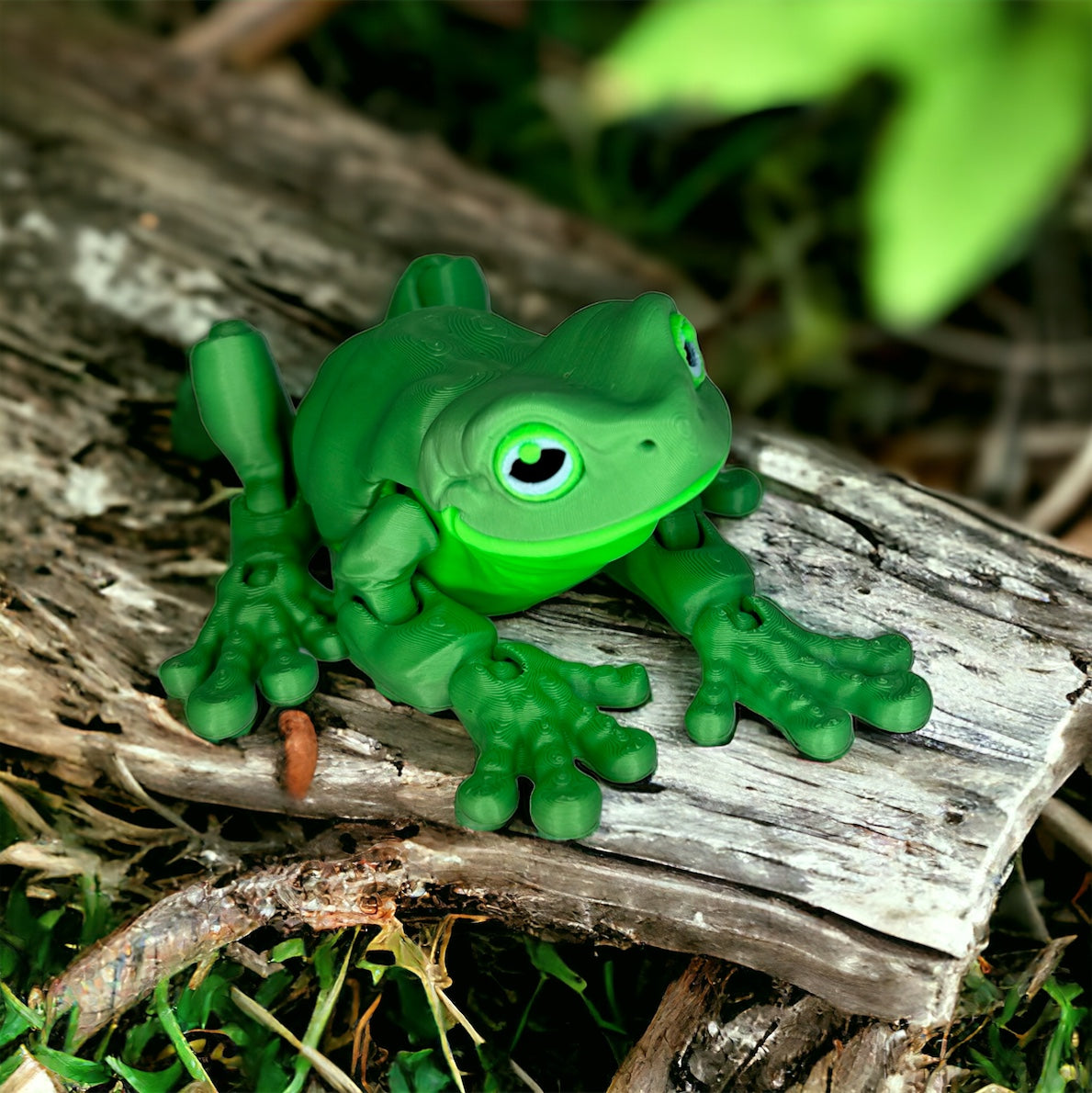 White's Tree Frog Magnet