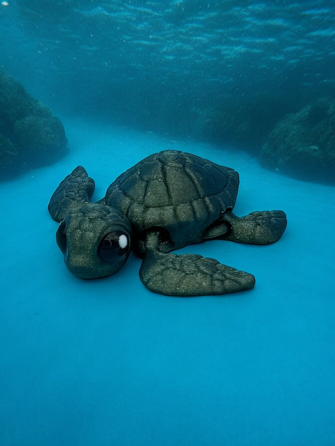 Mini Sea Turtle