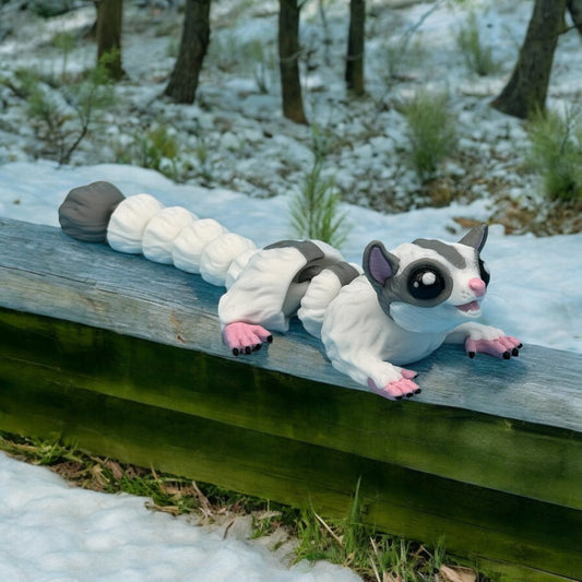 Sugar Glider