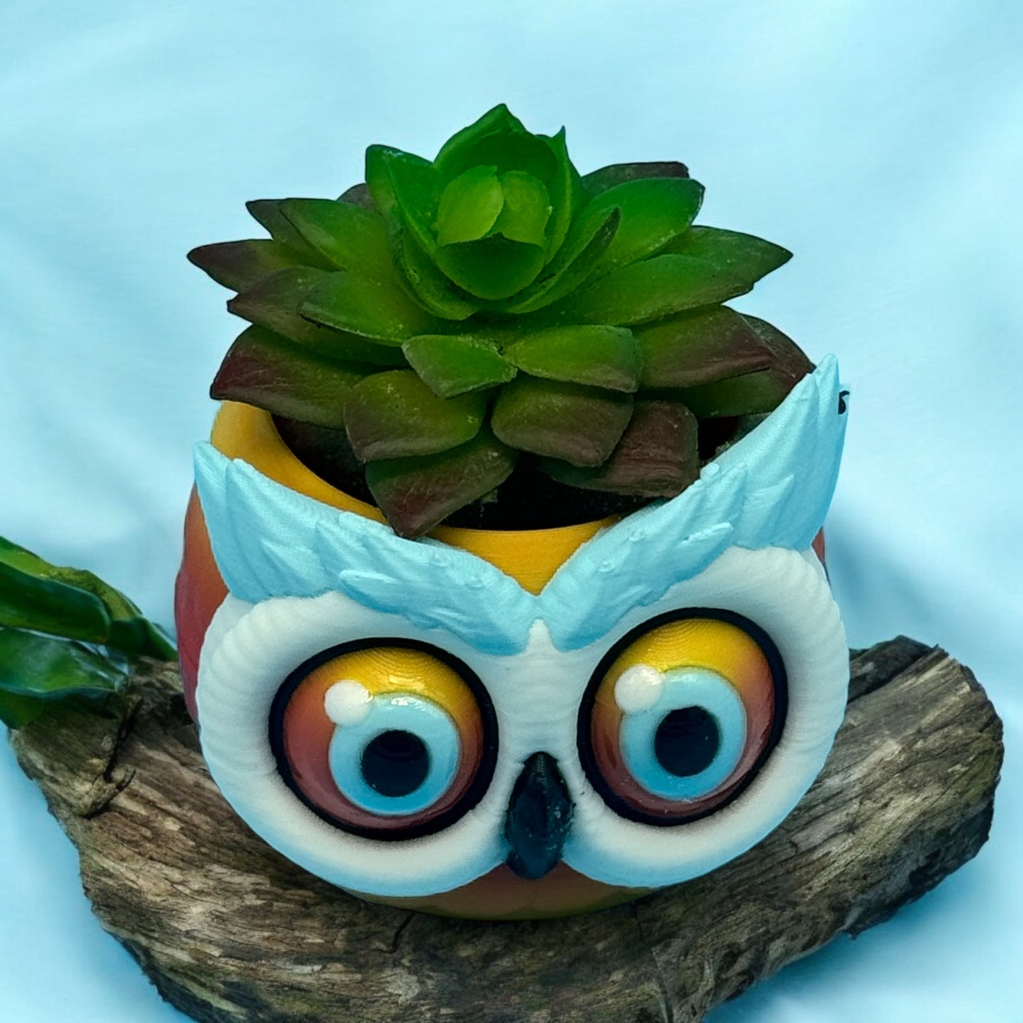 Owl Bowl / Planter