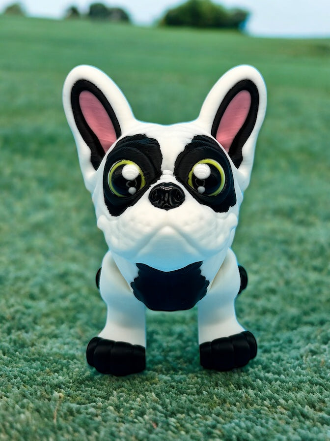 French Bulldog