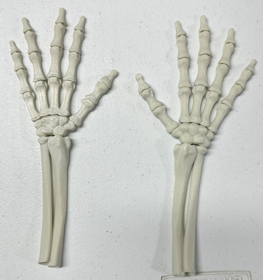 Skeleton Hands