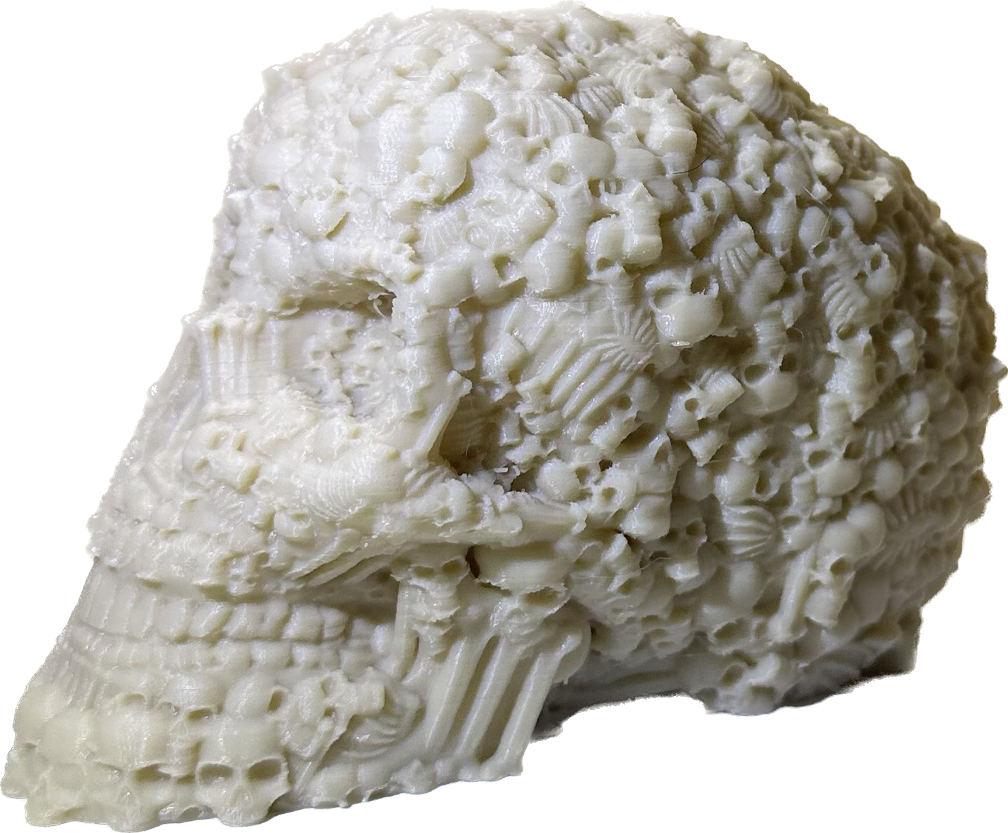 Catacombs Skull