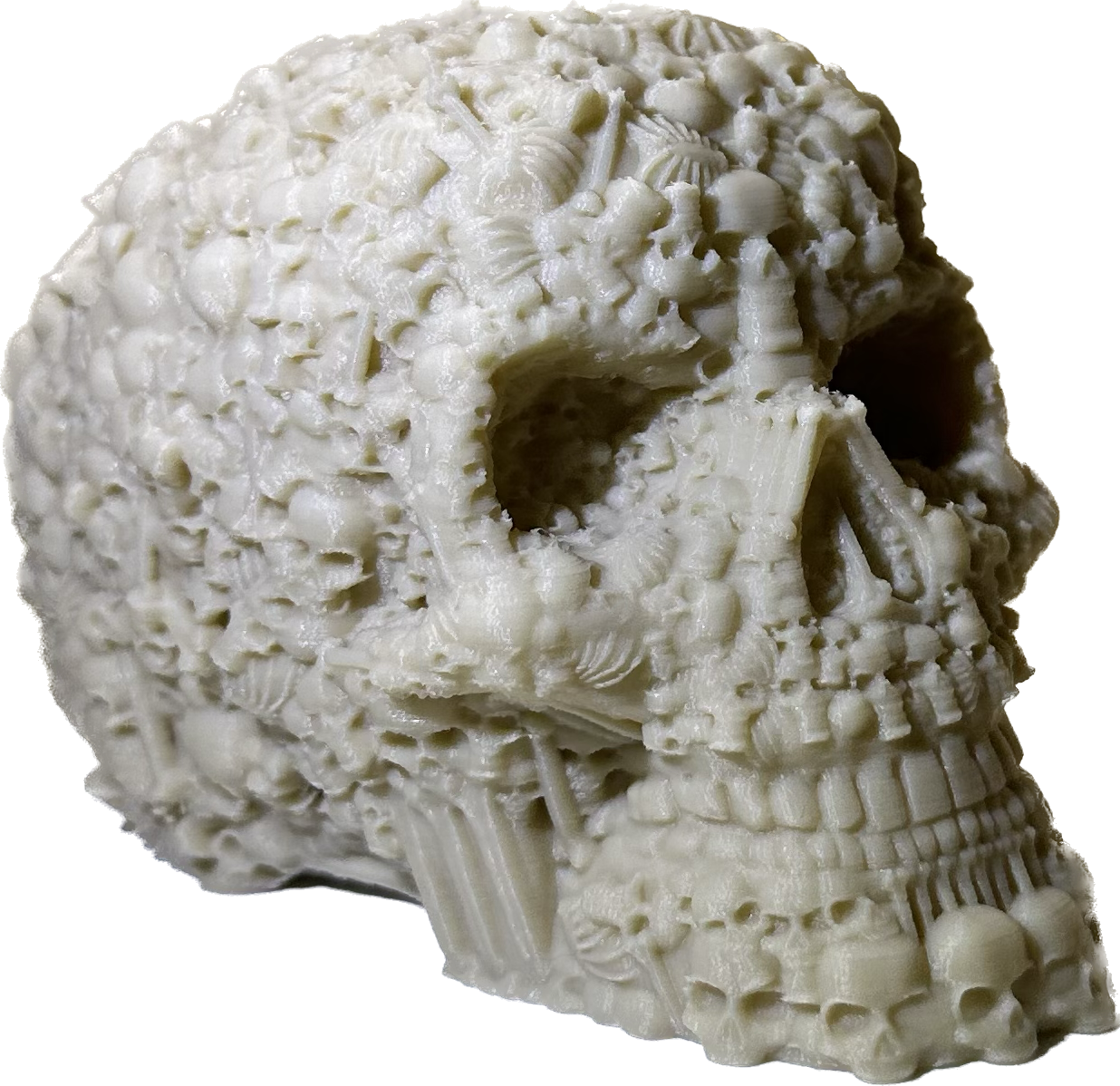 Catacombs Skull